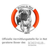 Boxer in Not